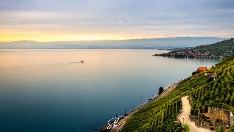 Photo coteau de vaud Pully