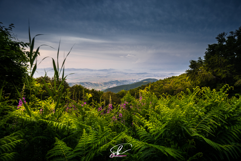 photo macedoine