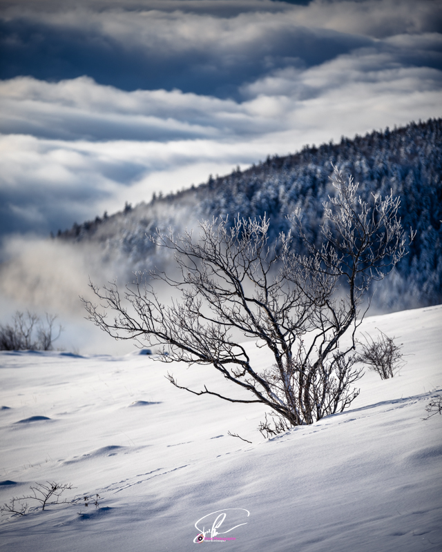 photo neige saleve