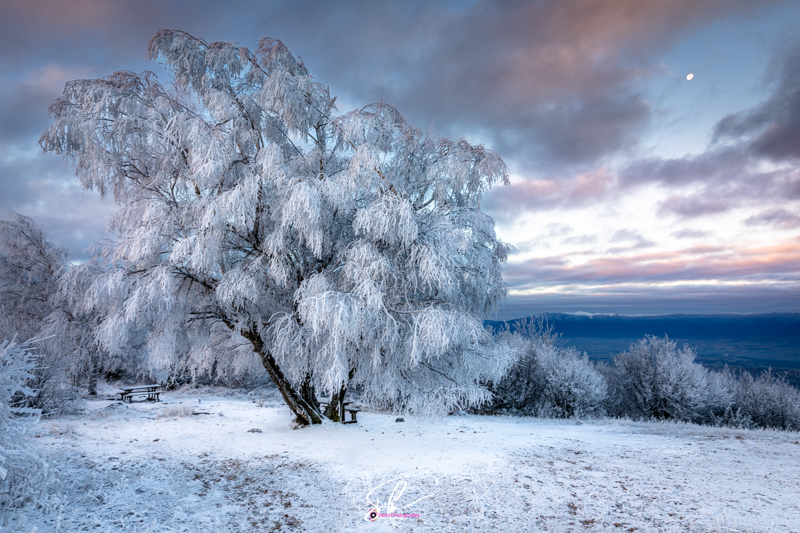 photo neige saleve
