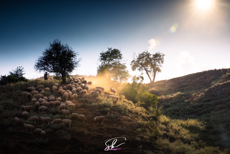 photo omorani macedoine sunset