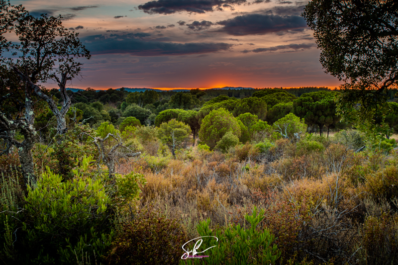 Photo de la plaine des maures sunset