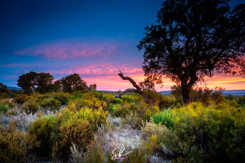 sunset plaine des maure var france